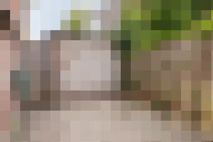 Geuzenweg 286 Hilversum thumbnail 21