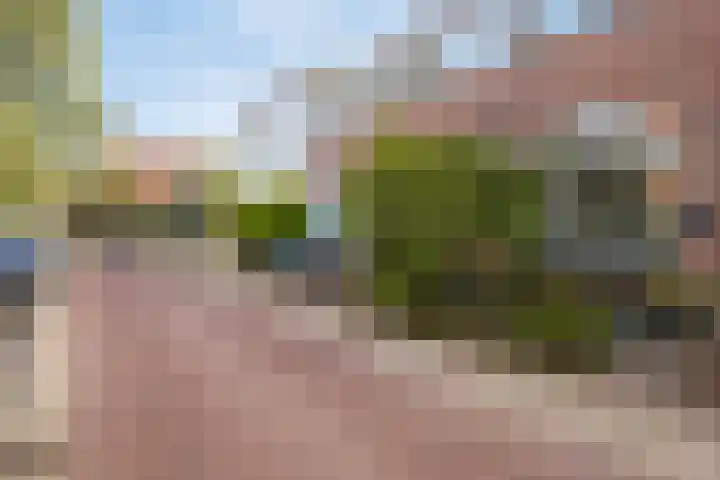 Geuzenweg 286 Hilversum thumbnail 22