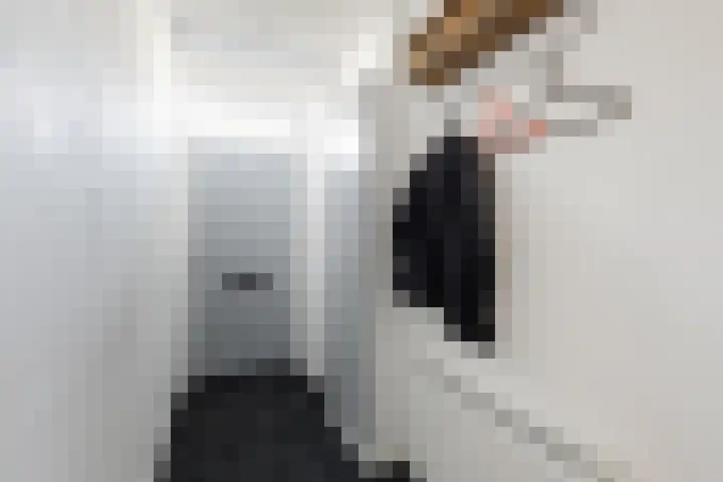 Geuzenweg 40 Hilversum thumbnail 11