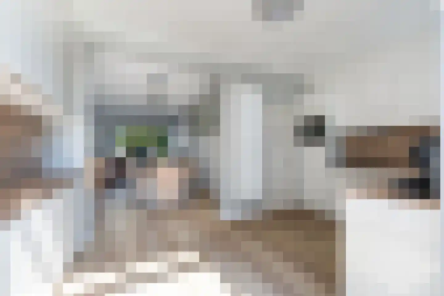 Geuzenweg 40 Hilversum thumbnail 7