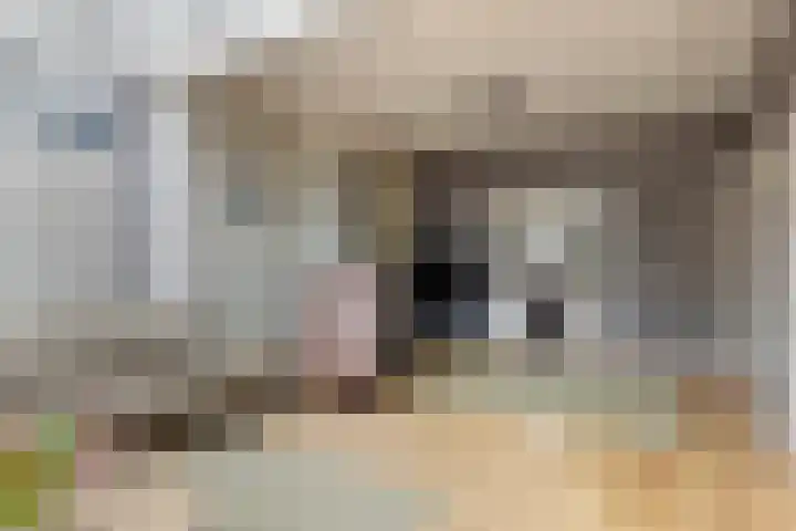 Geuzenweg 57 Hilversum thumbnail 9