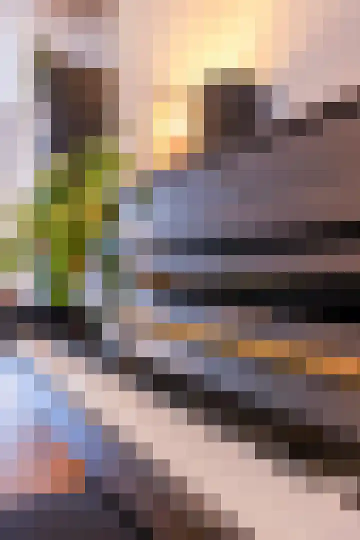 Geuzenweg 67 Hilversum thumbnail 16