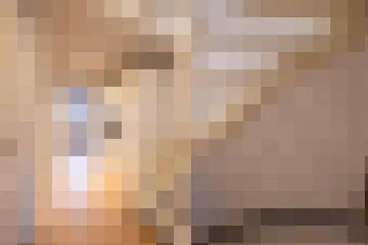 Geuzenweg 67 Hilversum thumbnail 31