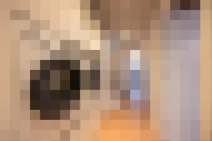 Geuzenweg 67 Hilversum thumbnail 32