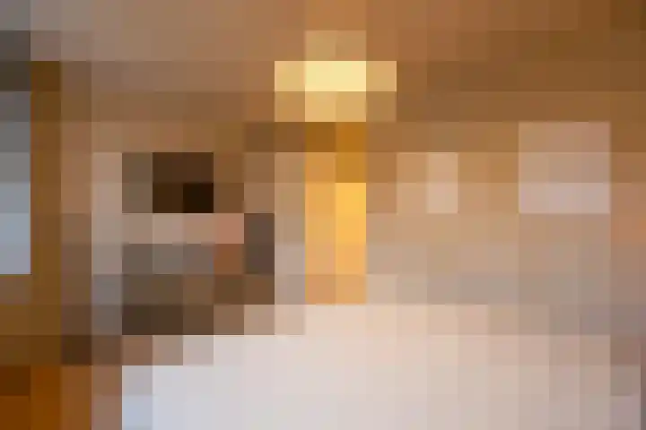 Geuzenweg 67 Hilversum thumbnail 36