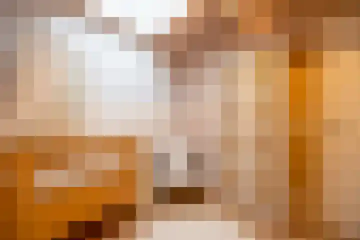 Geuzenweg 67 Hilversum thumbnail 40