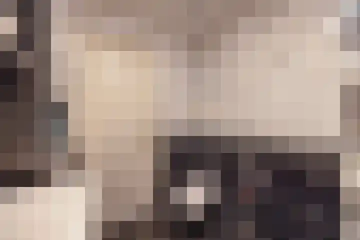 Geuzenweg 67 Hilversum thumbnail 44