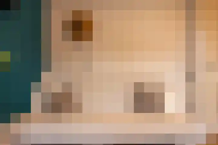 Geuzenweg 67 Hilversum thumbnail 49