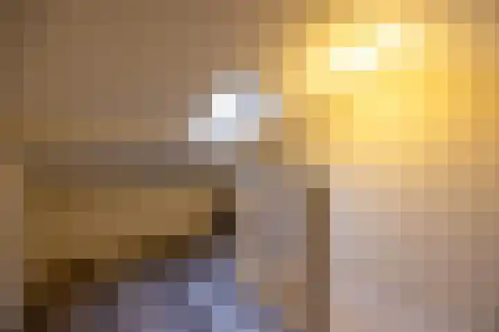 Geuzenweg 67 Hilversum thumbnail 52