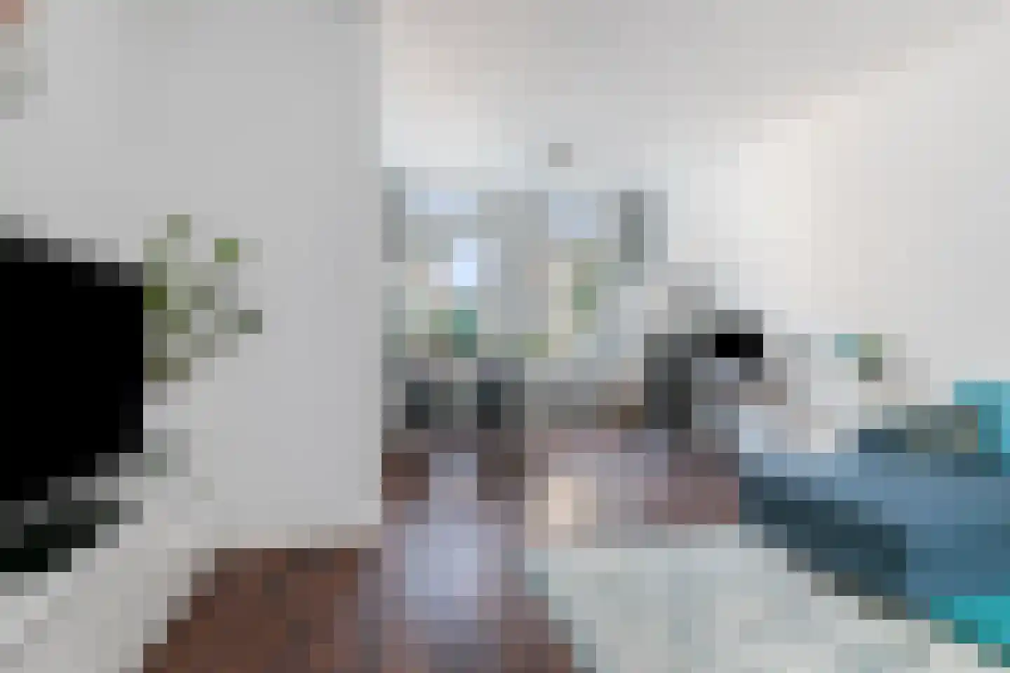 Geuzenweg 81 Hilversum thumbnail 10