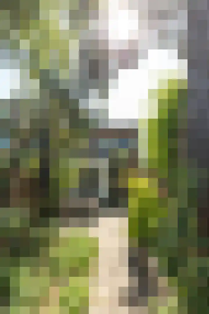 Geuzenweg 89 Hilversum thumbnail 23