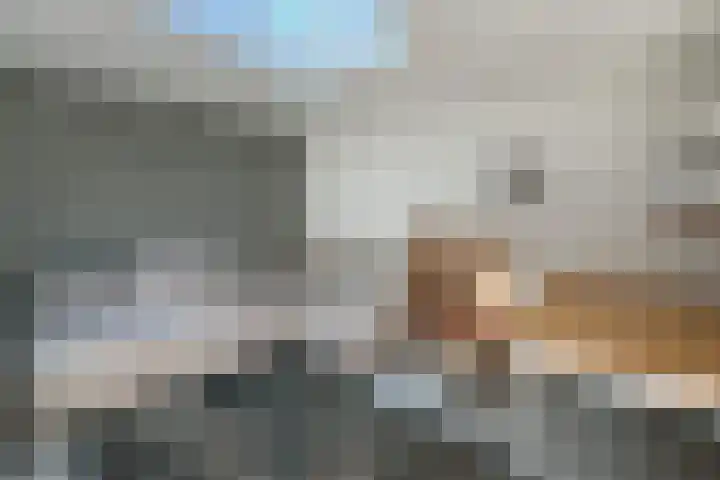 Geuzenweg 89 Hilversum thumbnail 25