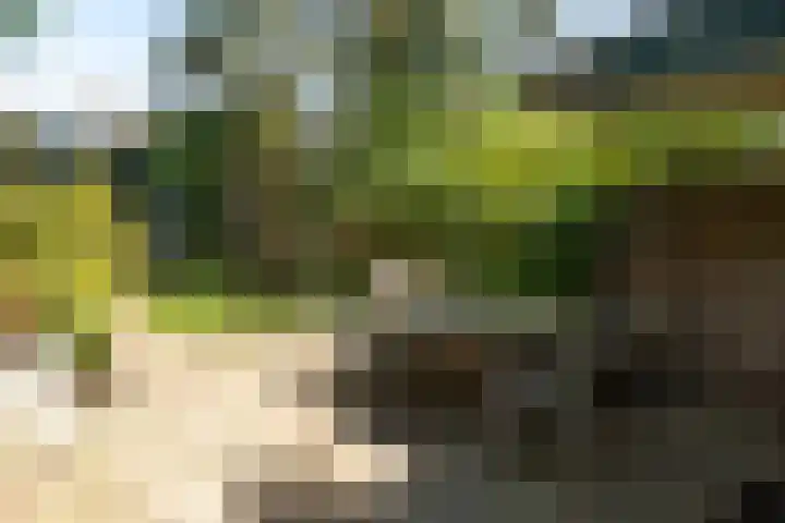 Geuzenweg 89 Hilversum thumbnail 27