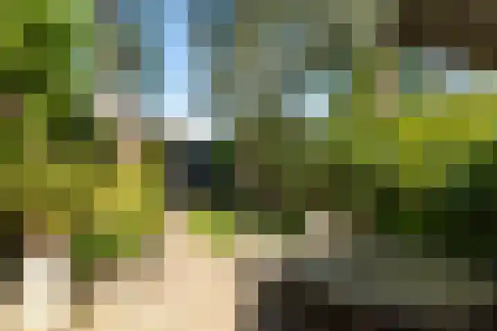 Geuzenweg 89 Hilversum thumbnail 28