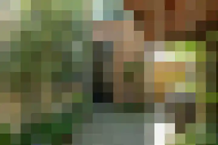Geuzenweg 89 Hilversum thumbnail 29
