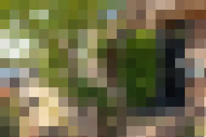 Geuzenweg 89 Hilversum thumbnail 30