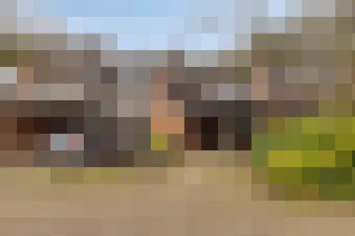 Geuzingerbrink 61 Emmen thumbnail 34