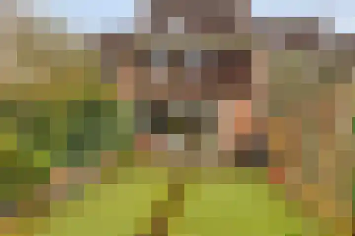 Geuzingerbrink 61 Emmen thumbnail 36