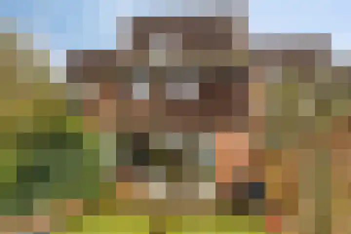 Geuzingerbrink 61 Emmen thumbnail 37