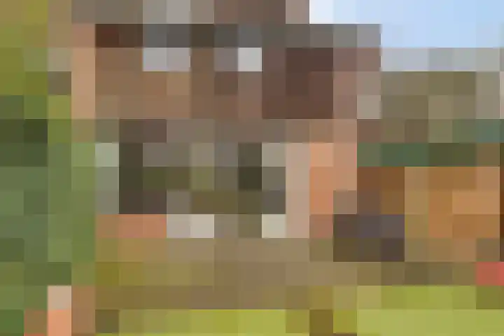 Geuzingerbrink 61 Emmen thumbnail 38