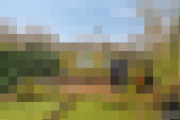 Geuzingerbrink 61 Emmen thumbnail 40