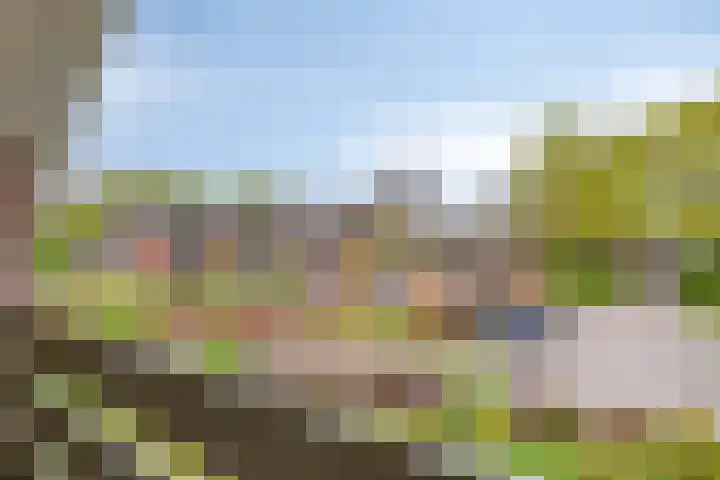Geuzingerbrink 84 Emmen thumbnail 38