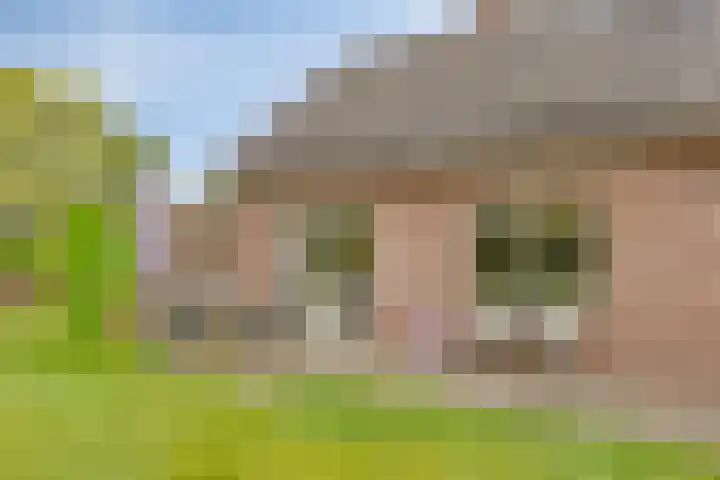Geuzingerbrink 84 Emmen thumbnail 42