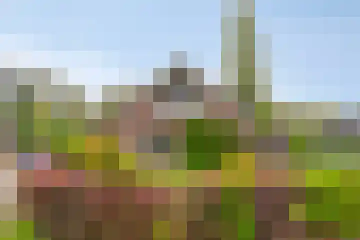Geuzingerbrink 84 Emmen thumbnail 45