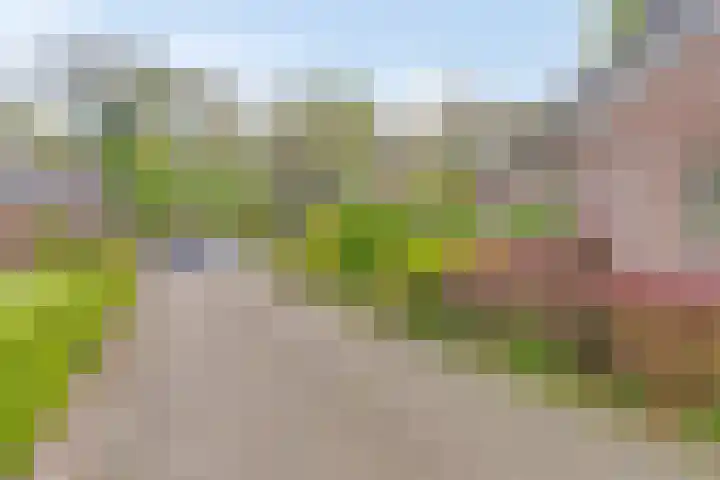 Geuzingerbrink 84 Emmen thumbnail 47