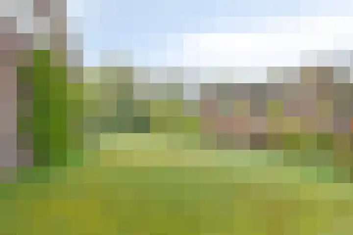 Geuzingerbrink 84 Emmen thumbnail 49