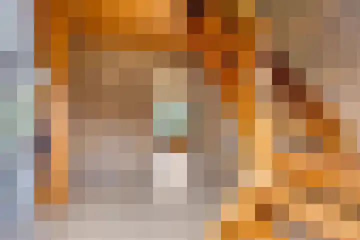 Geuzingerbrink 84 Emmen thumbnail 6