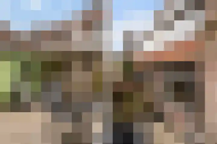 Gevaertsweg 4 Dordrecht thumbnail 20