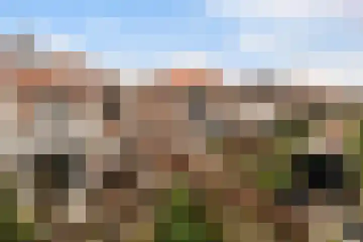 Gevaertsweg 4 Dordrecht thumbnail 34
