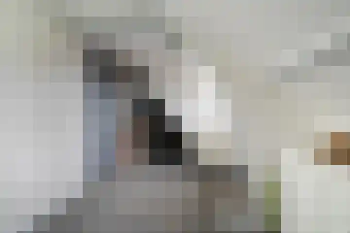 Gevaertsweg 4 Dordrecht thumbnail 39