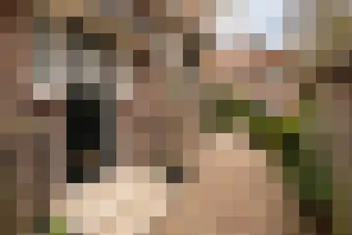 Gevaertsweg 4 Dordrecht thumbnail 4