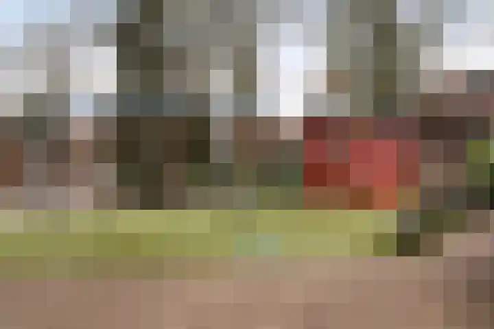 Gevaertsweg 4 Dordrecht thumbnail 45