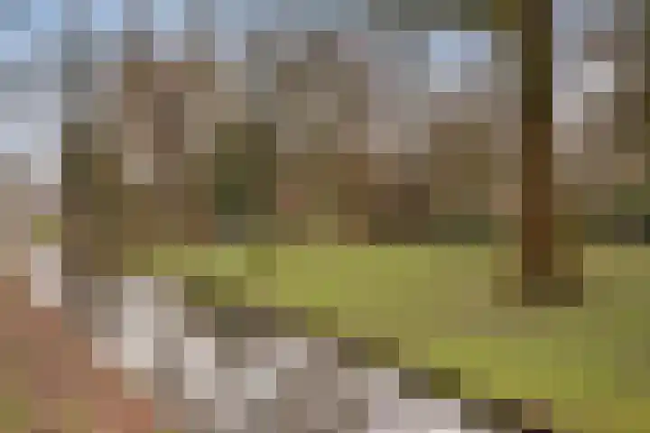Gevaertsweg 4 Dordrecht thumbnail 47
