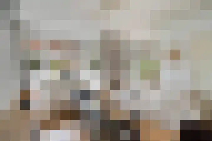 Gevaertsweg 4 Dordrecht thumbnail 7