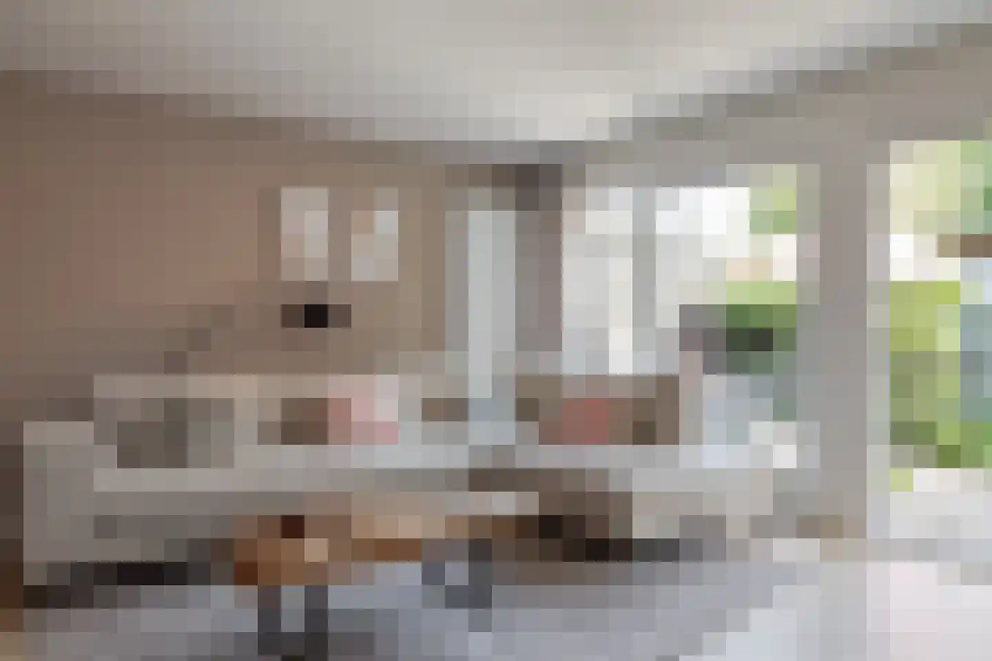 Gevangenpoortsteeg 16 Edam thumbnail 17