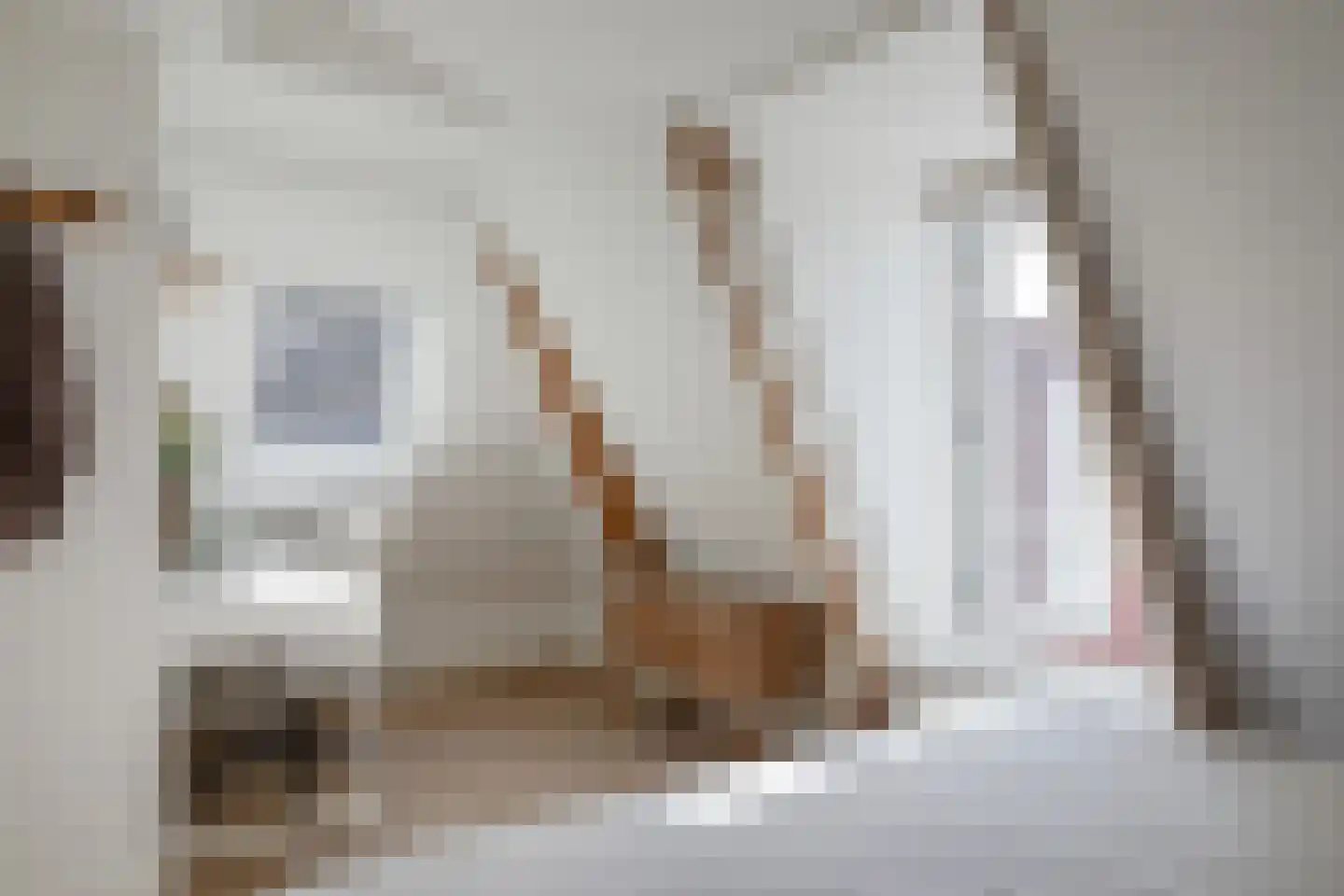 Gevangenpoortsteeg 16 Edam thumbnail 24
