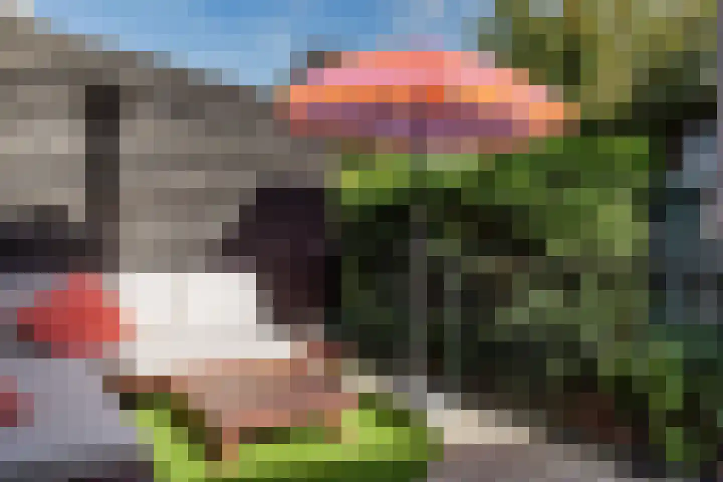Gevangenpoortsteeg 16 Edam thumbnail 34