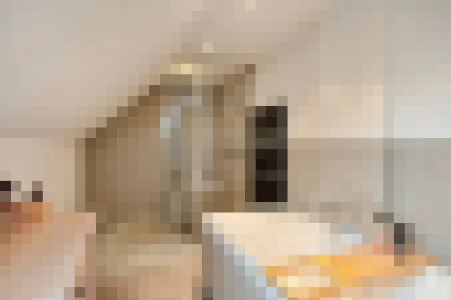 Gevaren 21 Swalmen thumbnail 26