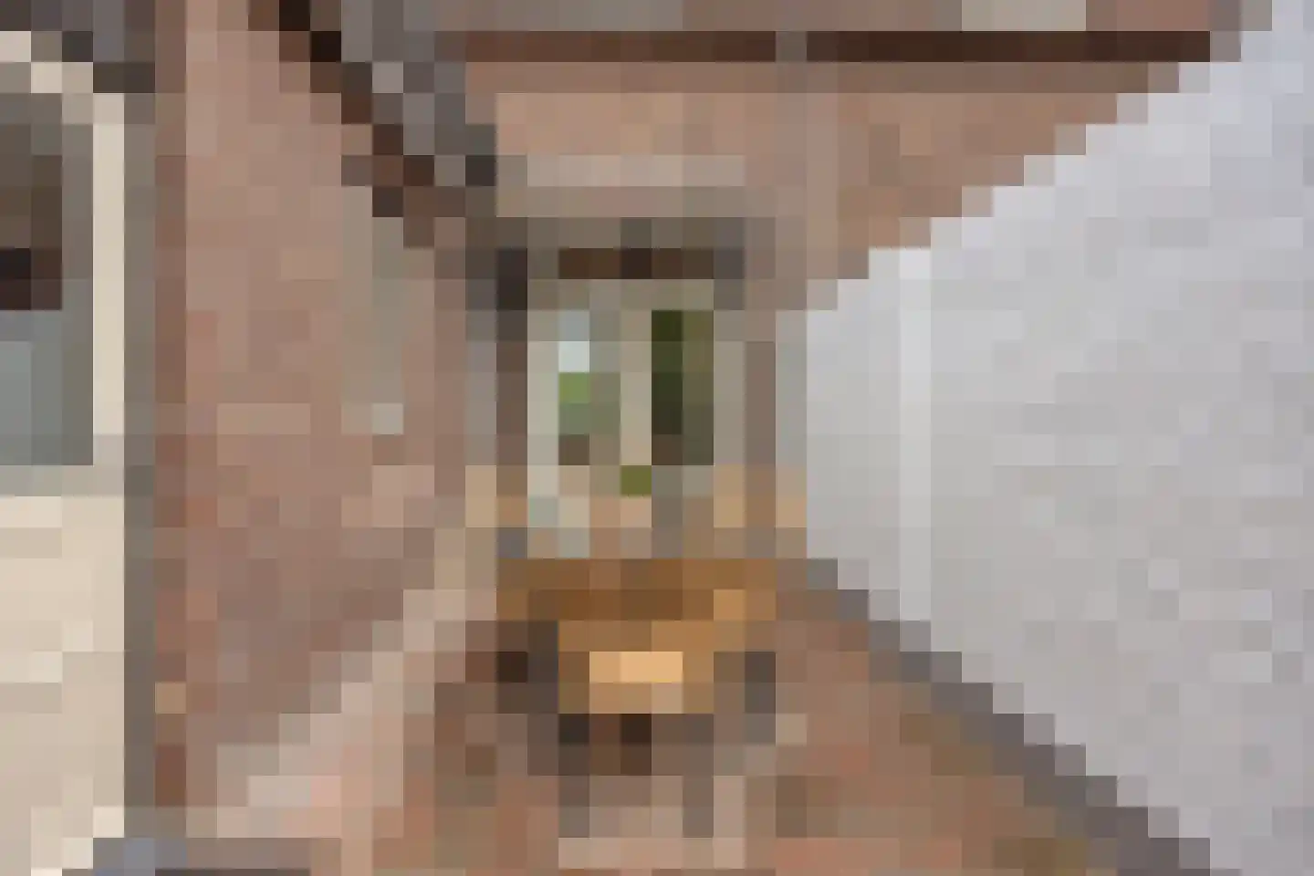Gevaren 21 Swalmen thumbnail 29