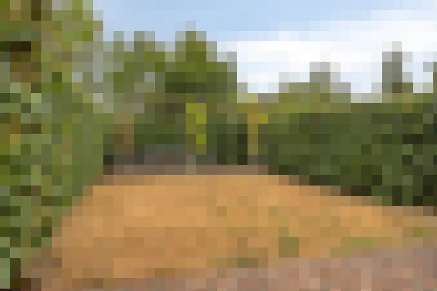 Gevaren 21 Swalmen thumbnail 32