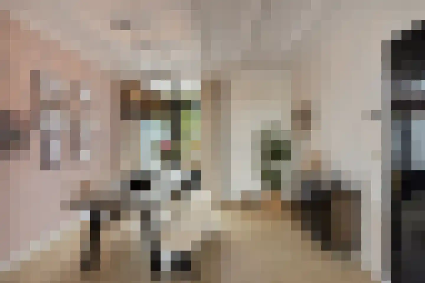 Gevaren 21 Swalmen thumbnail 6