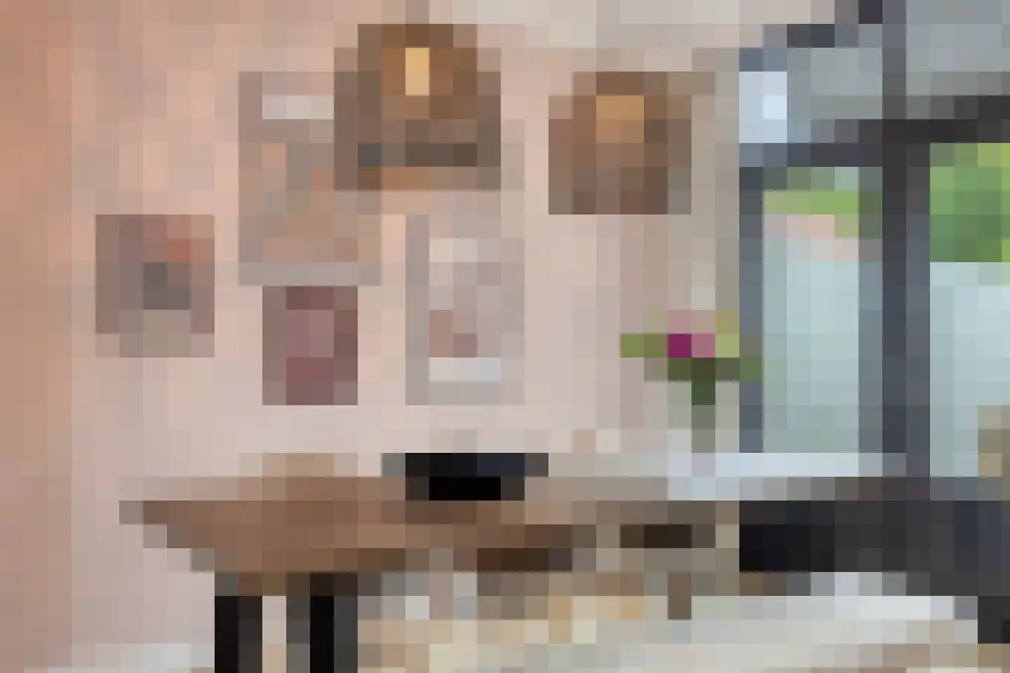 Gevaren 21 Swalmen thumbnail 7
