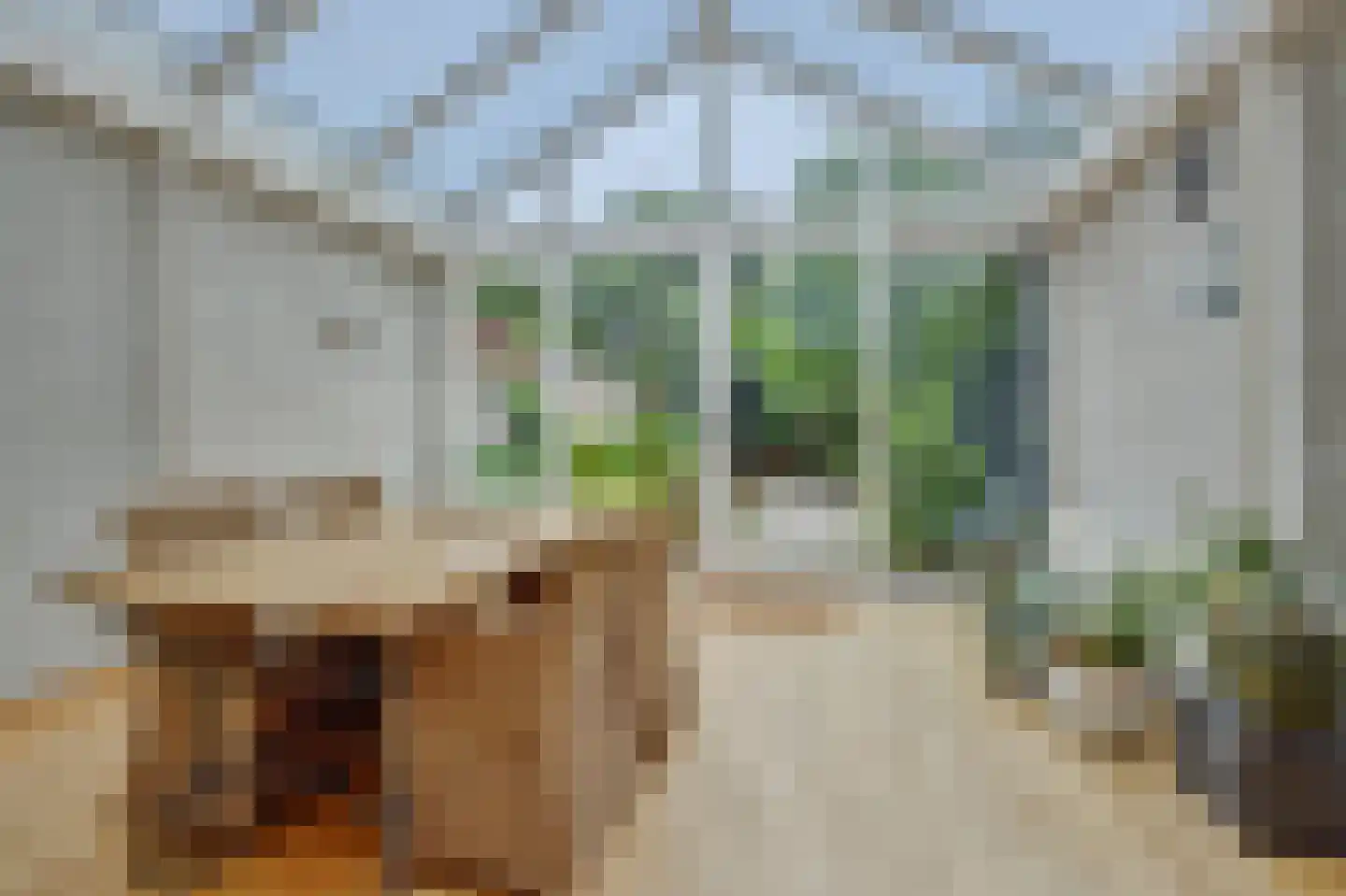 Gevart van Doernestraat 14 Deurne thumbnail 15