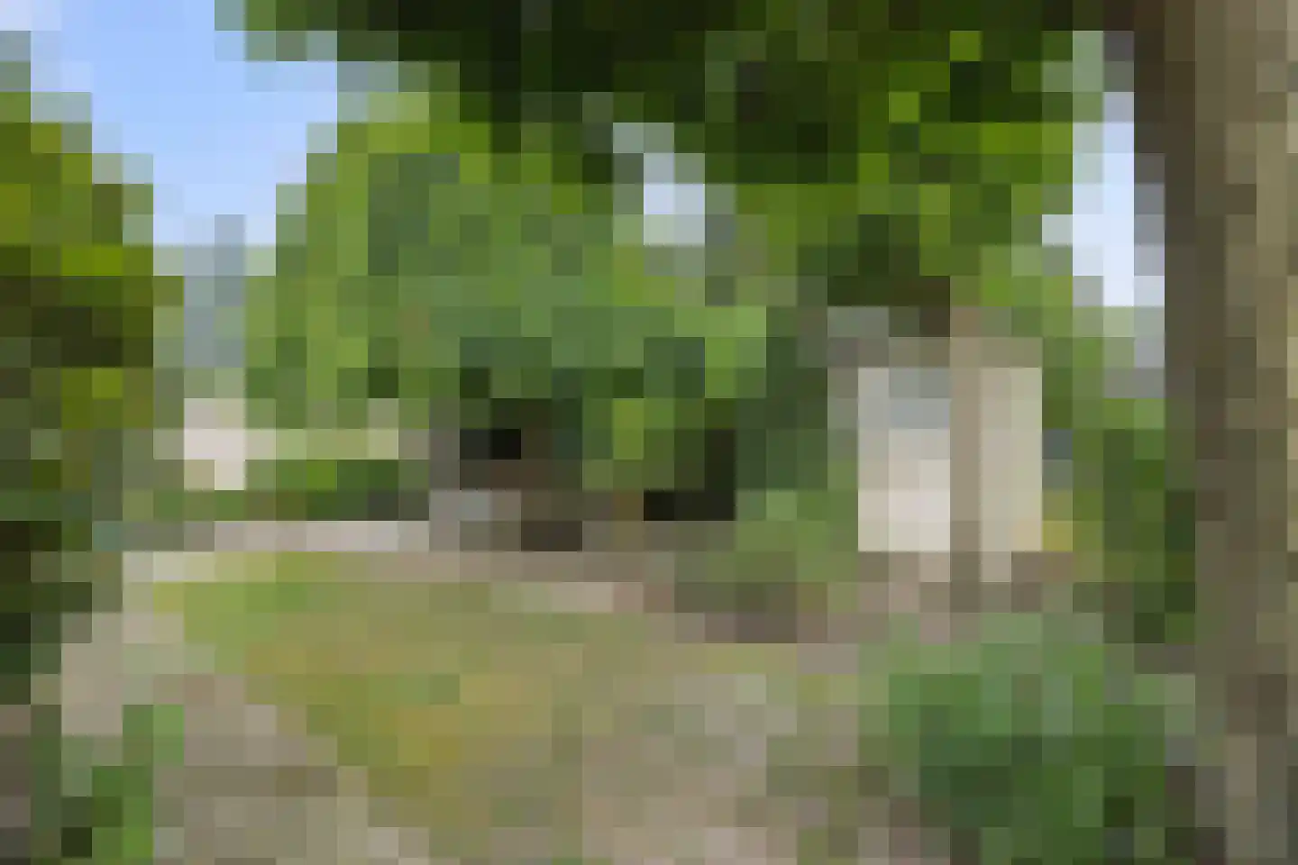 Gevart van Doernestraat 14 Deurne thumbnail 39