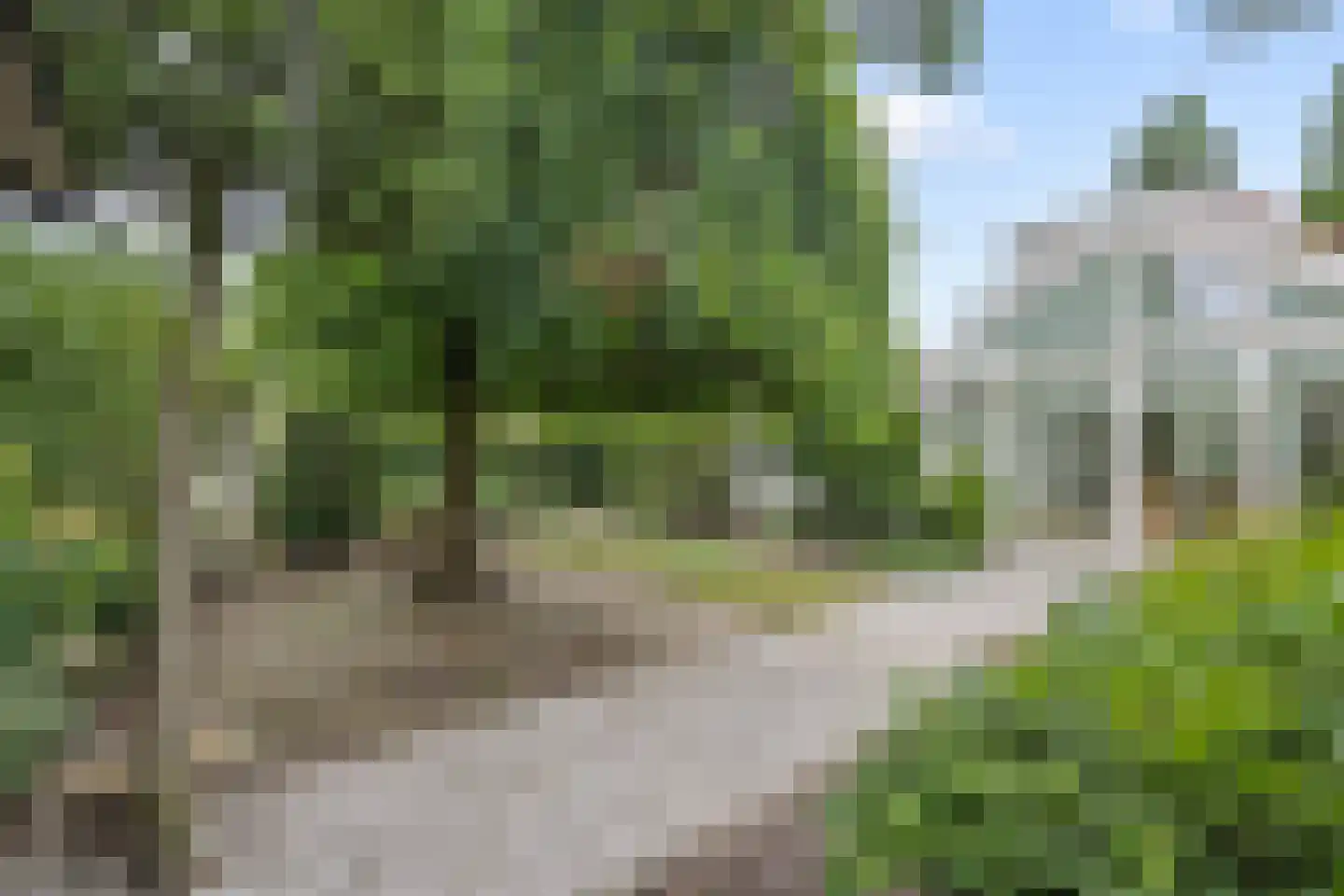 Gevart van Doernestraat 14 Deurne thumbnail 5