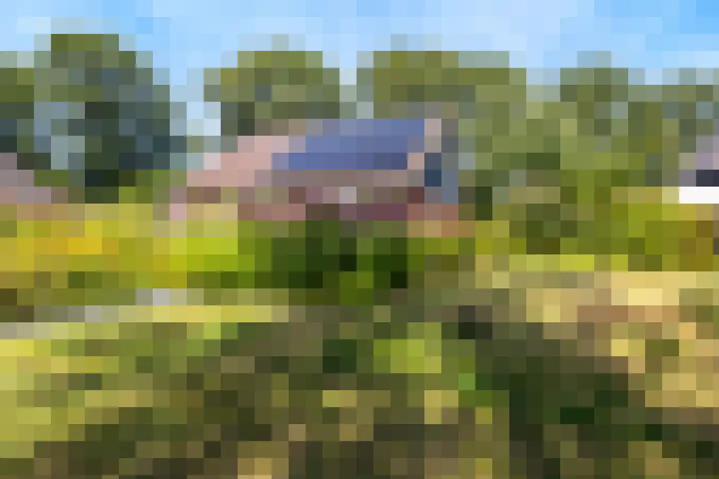 Gevelakkers 28 Anderen thumbnail 12